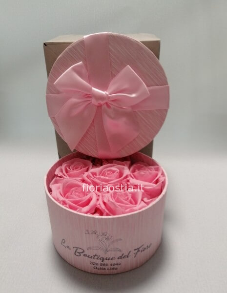 Box rose rosa